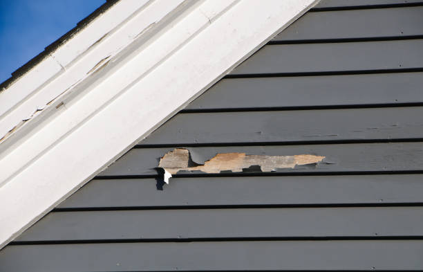 Best Property Management Cleanouts  in Quitman, MS